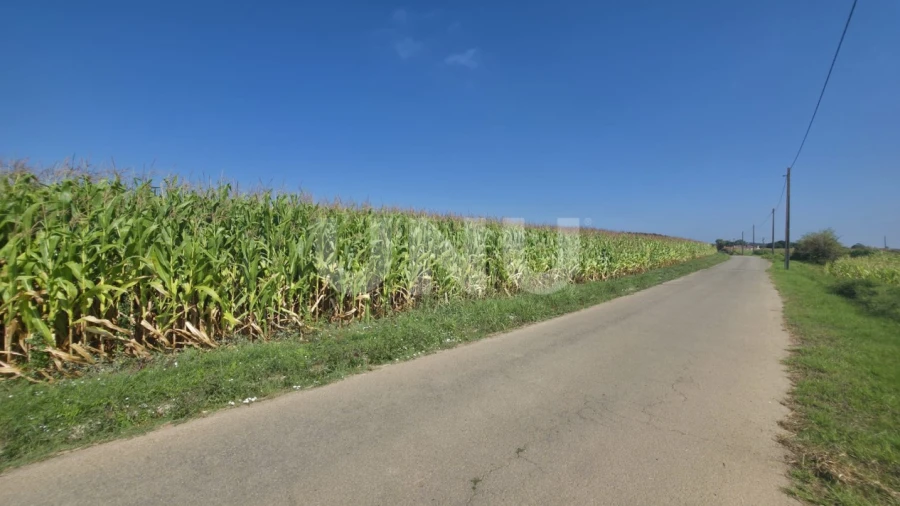Terreno Agricola ou Rústico para Venda em Valega