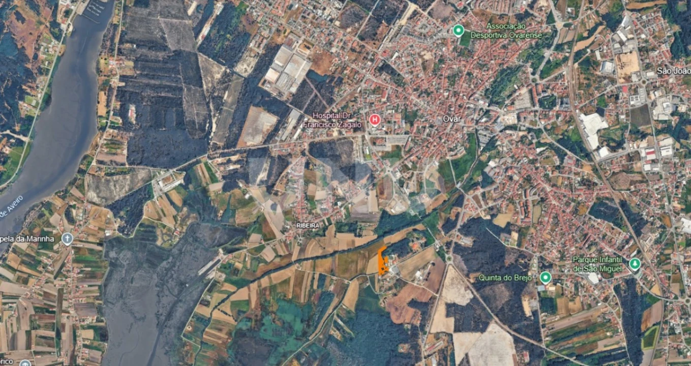 Terreno Agricola ou Rústico para Venda em Ovar, São João, Arada e São Vicente de Pereira Jusã Foto 3