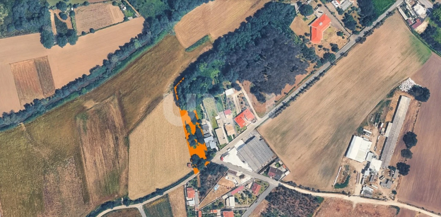 Terreno Agricola ou Rústico para Venda em Ovar, São João, Arada e São Vicente de Pereira Jusã Foto 4