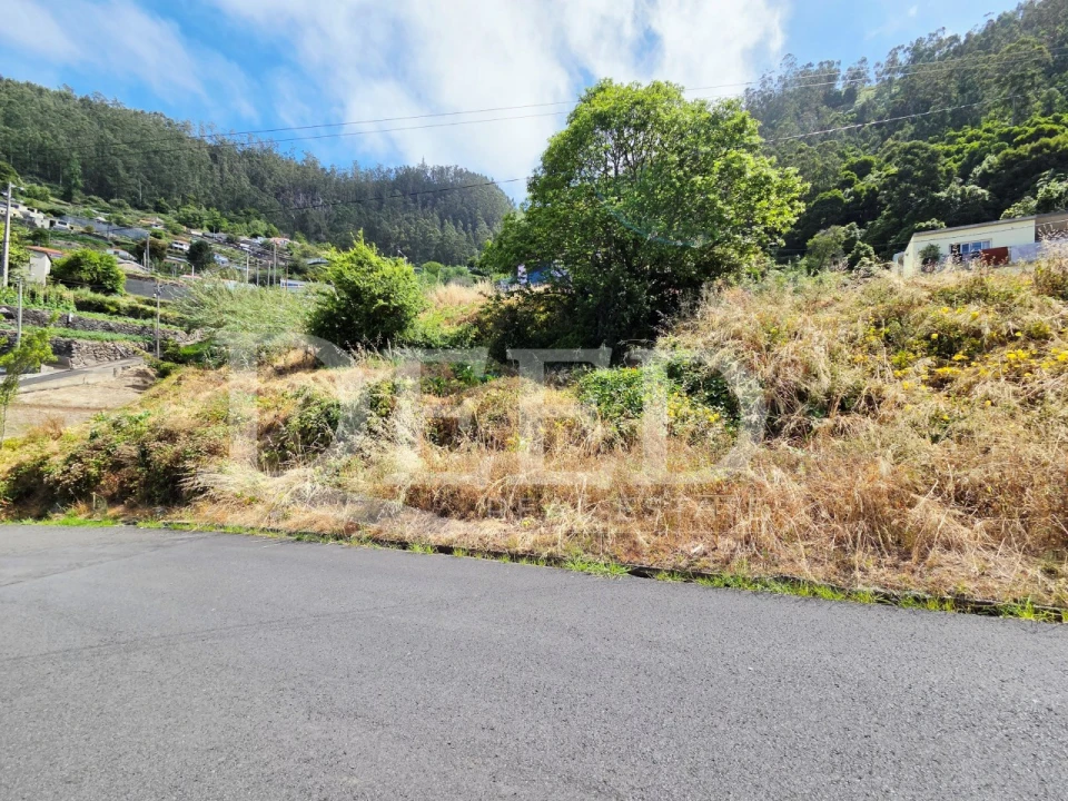 Terreno para Venda em Arco da Calheta Foto 4