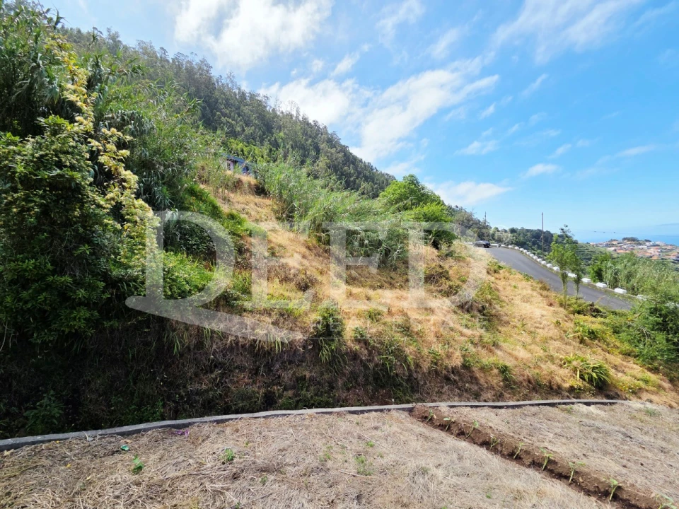 Terreno para Venda em Arco da Calheta Foto 6