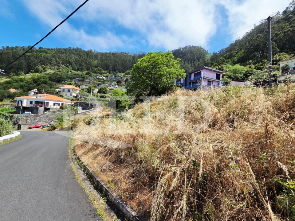 Terreno para Venda em Arco da Calheta Foto 10