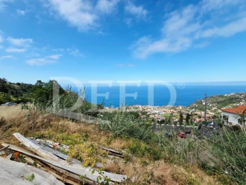 Terreno para Venda em Arco da Calheta