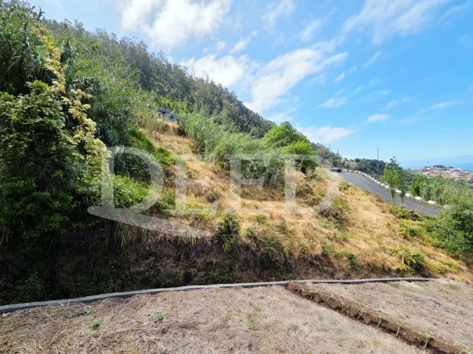 Terreno para Venda em Arco da Calheta Foto 6