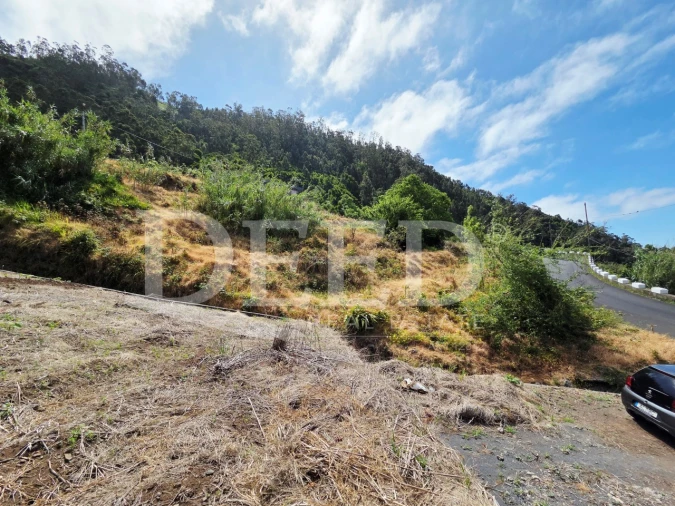 Terreno para Venda em Arco da Calheta Foto 7