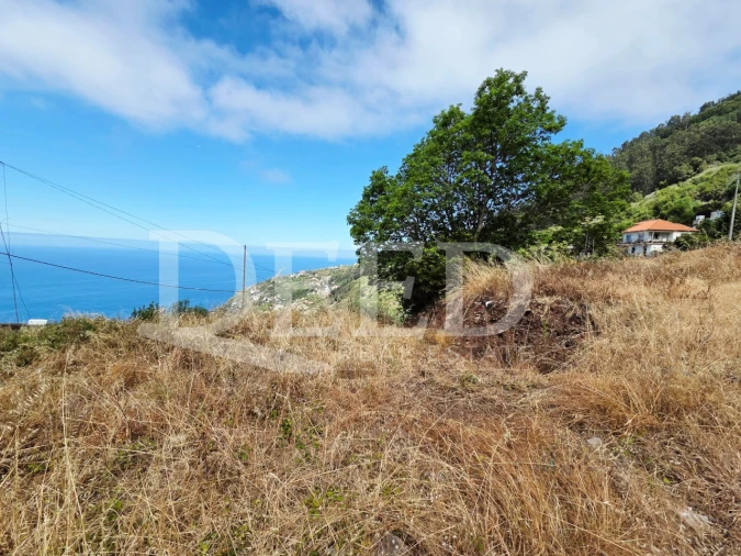 Terreno para Venda em Arco da Calheta Foto 9