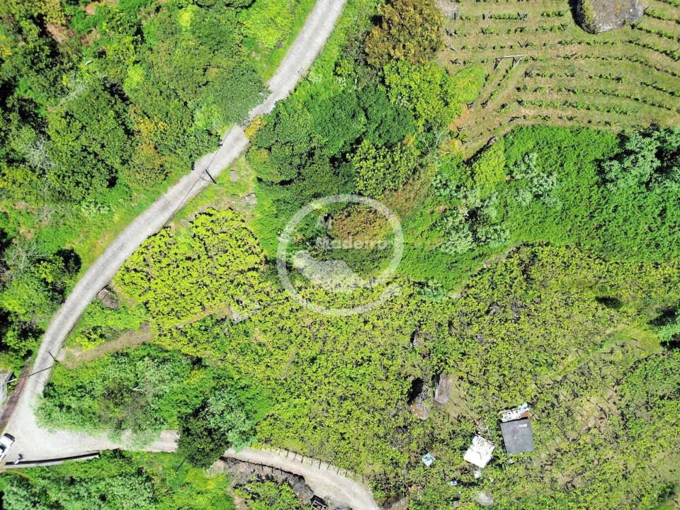 Terreno para Venda em São Vicente Foto 3