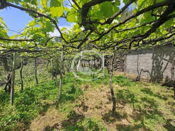 Terreno para Venda em São Vicente