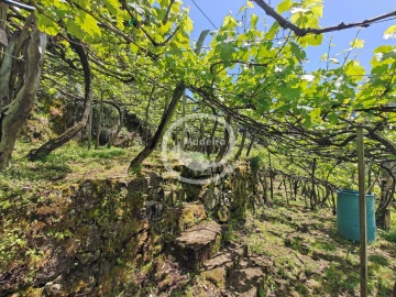 Terreno para Venda em São Vicente