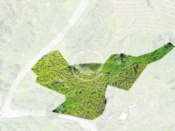 Terreno para Venda em São Vicente