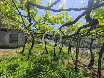 Terreno para Venda em São Vicente