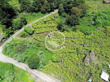 Terreno para Venda em São Vicente