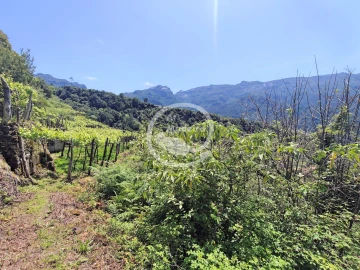Terreno para Venda em São Vicente