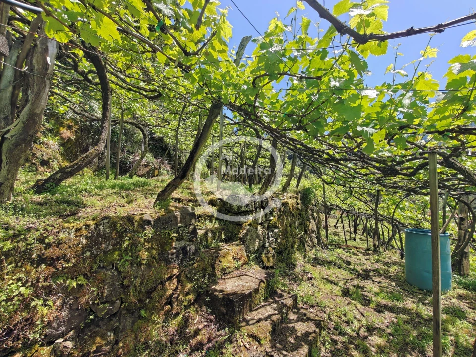 Terreno para Venda em São Vicente Foto 10