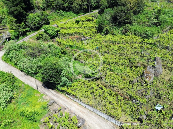 Terreno para Venda em São Vicente Foto 5