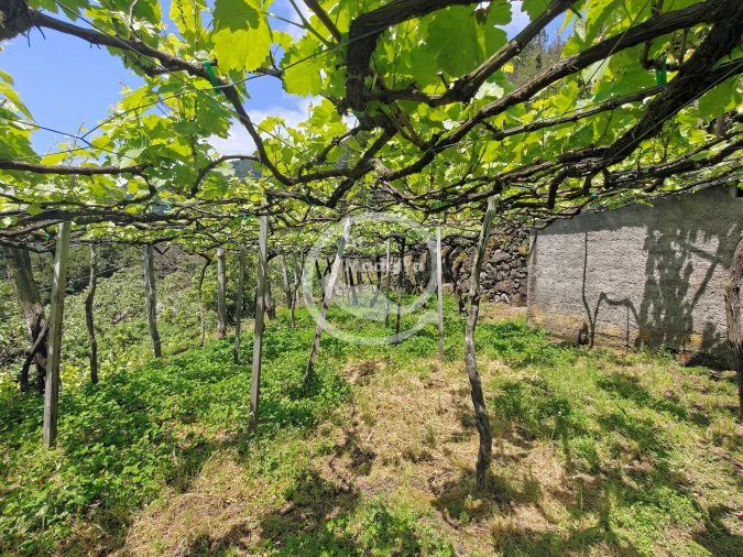 Terreno para Venda em São Vicente Foto 9