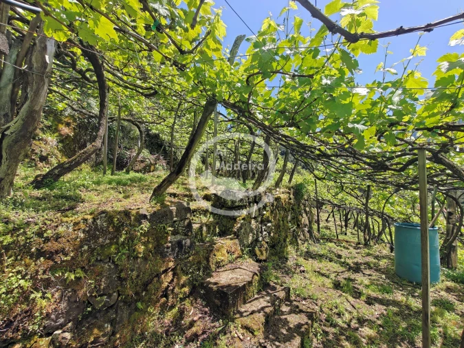 Terreno para Venda em São Vicente Foto 10