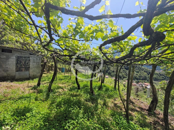Terreno para Venda em São Vicente Foto 11