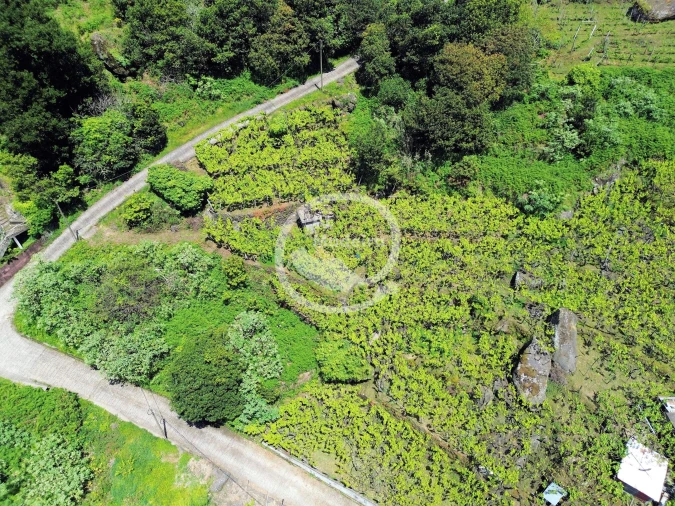 Terreno para Venda em São Vicente Foto 2