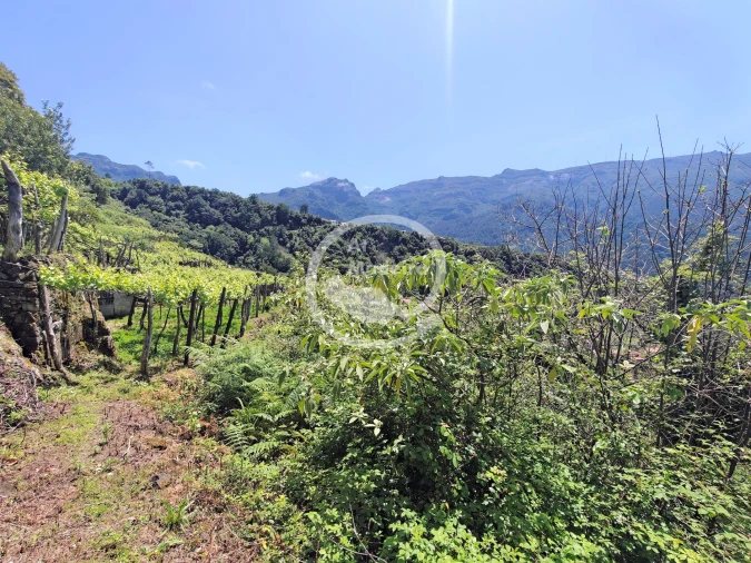 Terreno para Venda em São Vicente Foto 12