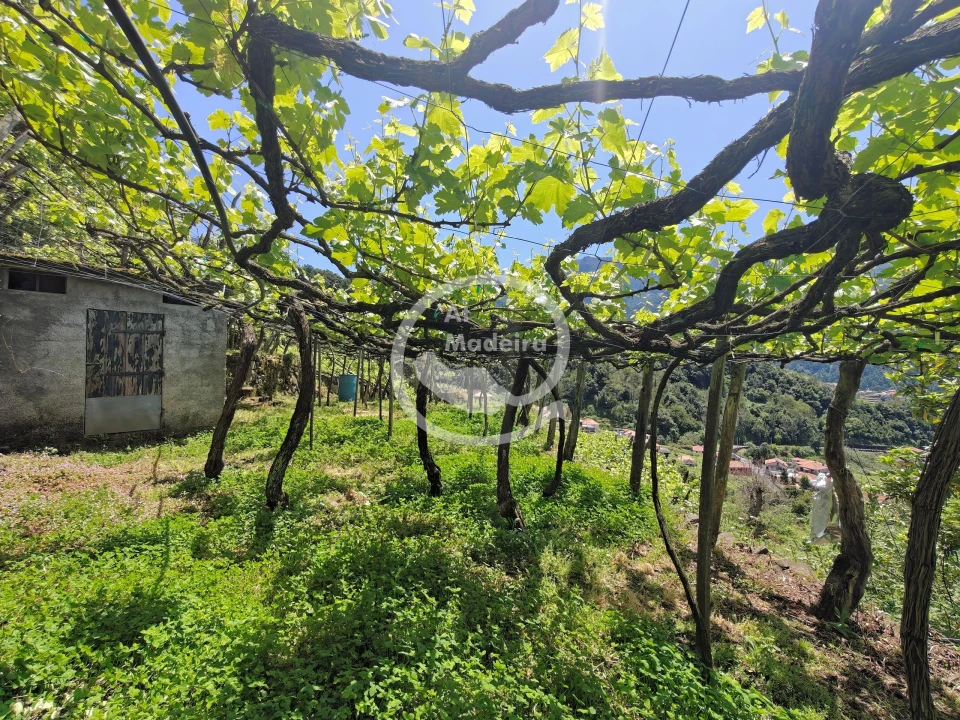 Terreno para Venda em São Vicente Foto 11