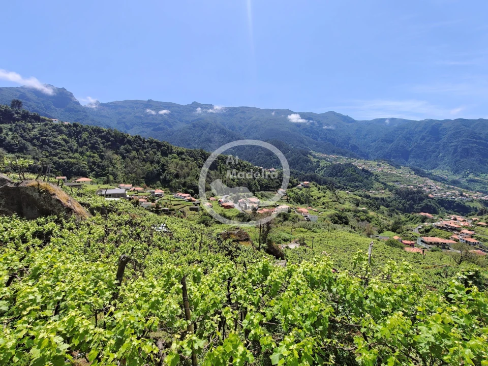 Terreno para Venda em São Vicente Foto 8
