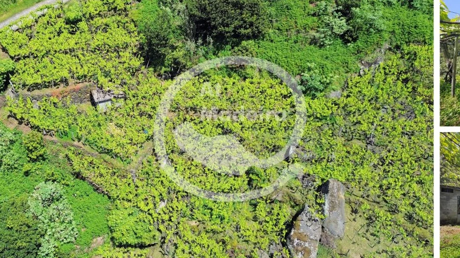Terreno para Venda em São Vicente