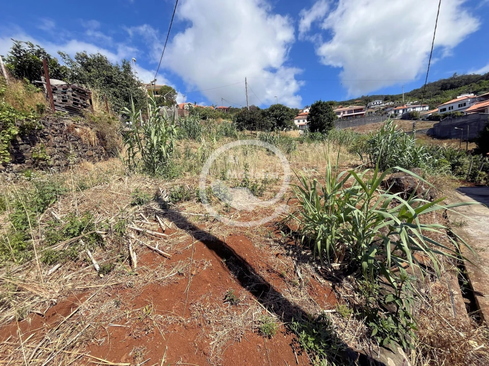 Terreno para Venda em Santa Cruz Foto 10