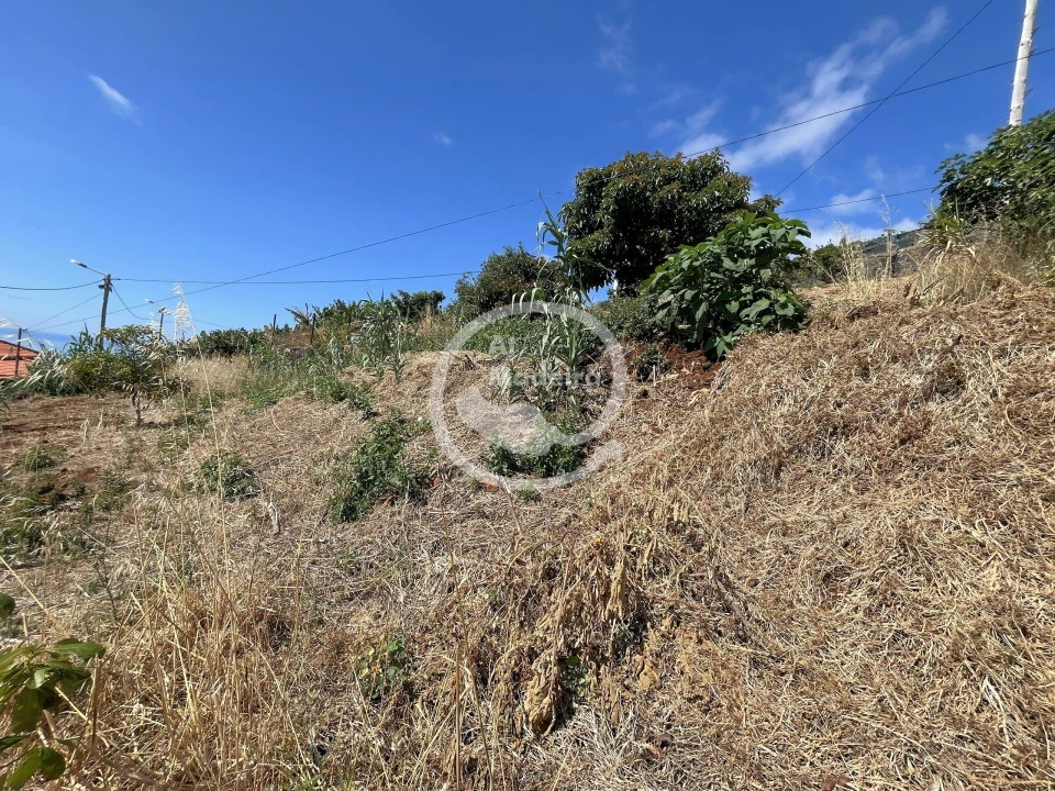 Terreno para Venda em Santa Cruz Foto 12