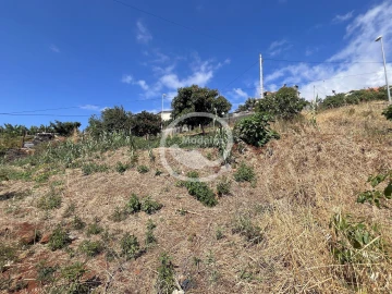 Terreno para Venda em Santa Cruz
