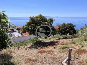 Terreno para Venda em Santa Cruz