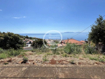 Terreno para Venda em Santa Cruz