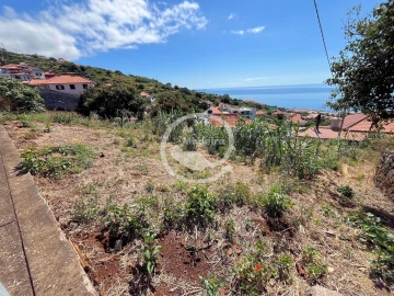Terreno para Venda em Santa Cruz