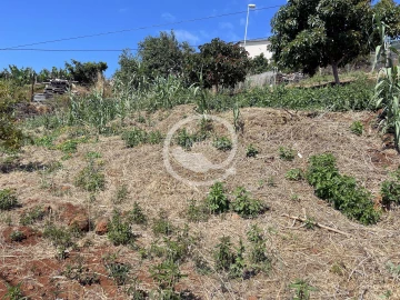 Terreno para Venda em Santa Cruz
