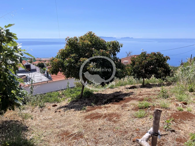 Terreno para Venda em Santa Cruz Foto 8