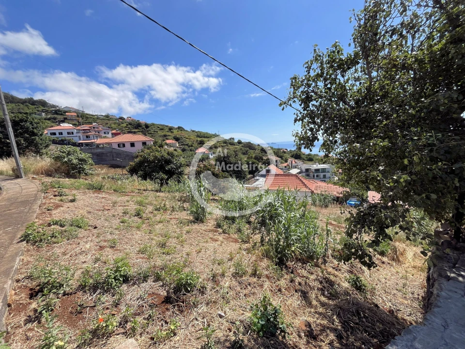 Terreno para Venda em Santa Cruz Foto 3