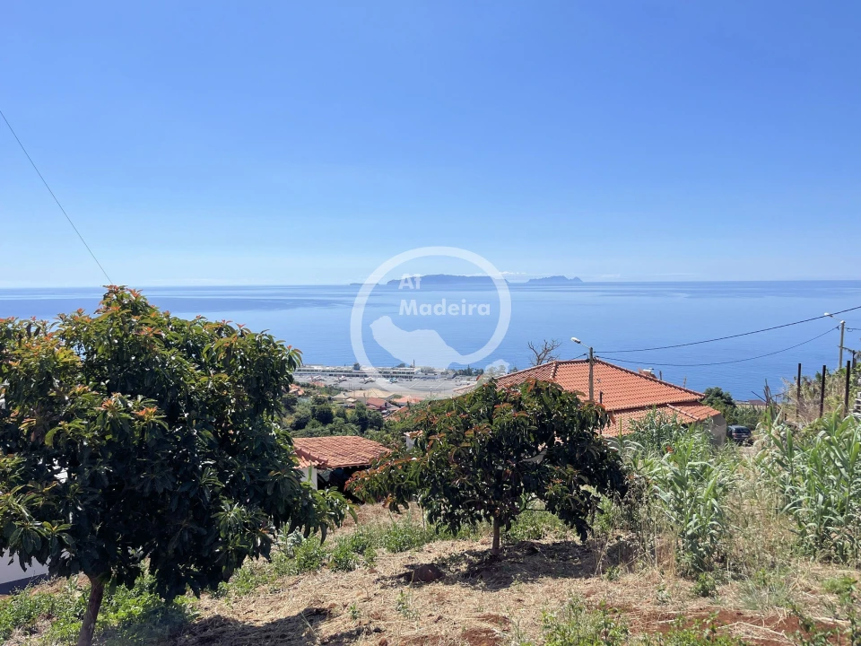Terreno para Venda em Santa Cruz Foto 9