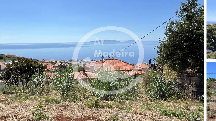Terreno para Venda em Santa Cruz