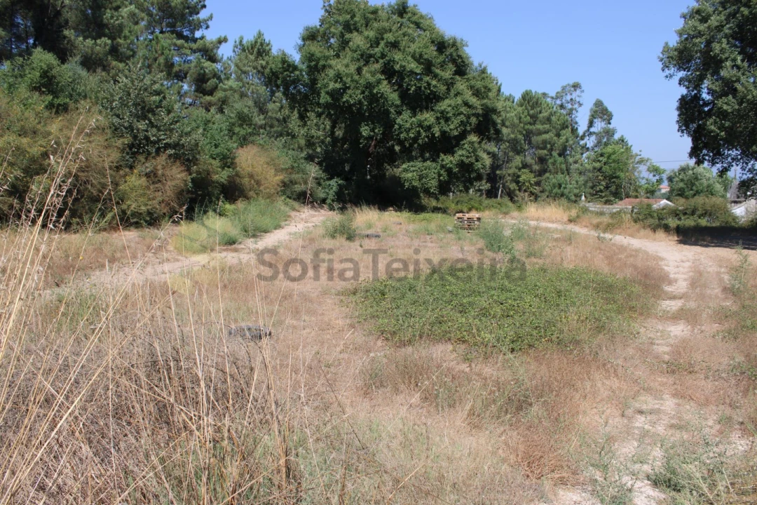 Terreno para Venda em Livração Foto 3