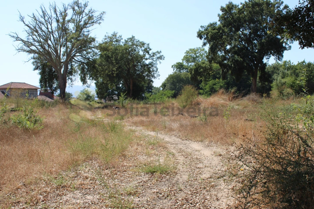 Terreno para Venda em Livração Foto 5