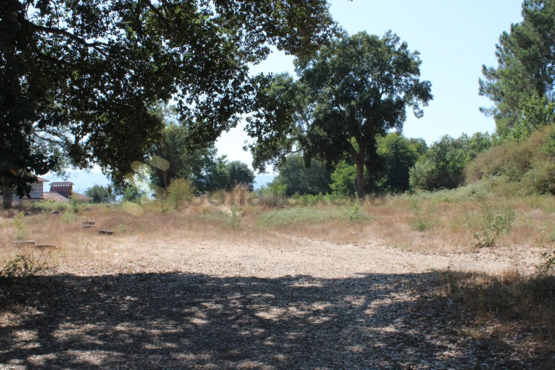Terreno para Venda em Livração Foto 6