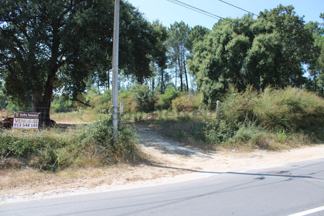 Terreno para Venda em Livração Foto 10