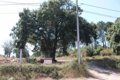 Terreno para Venda em Livração