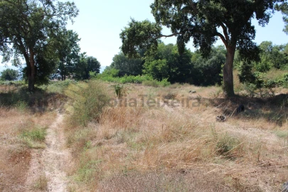 Terreno para Venda em Livração
