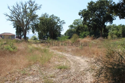 Terreno para Venda em Livração