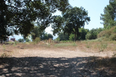 Terreno para Venda em Livração
