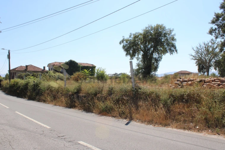 Terreno para Venda em Livração Foto 9