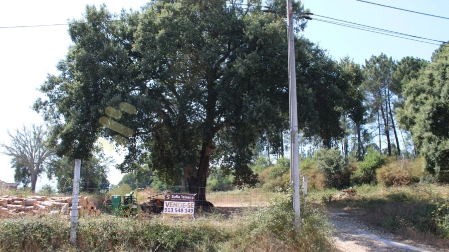 Terreno para Venda em Livração