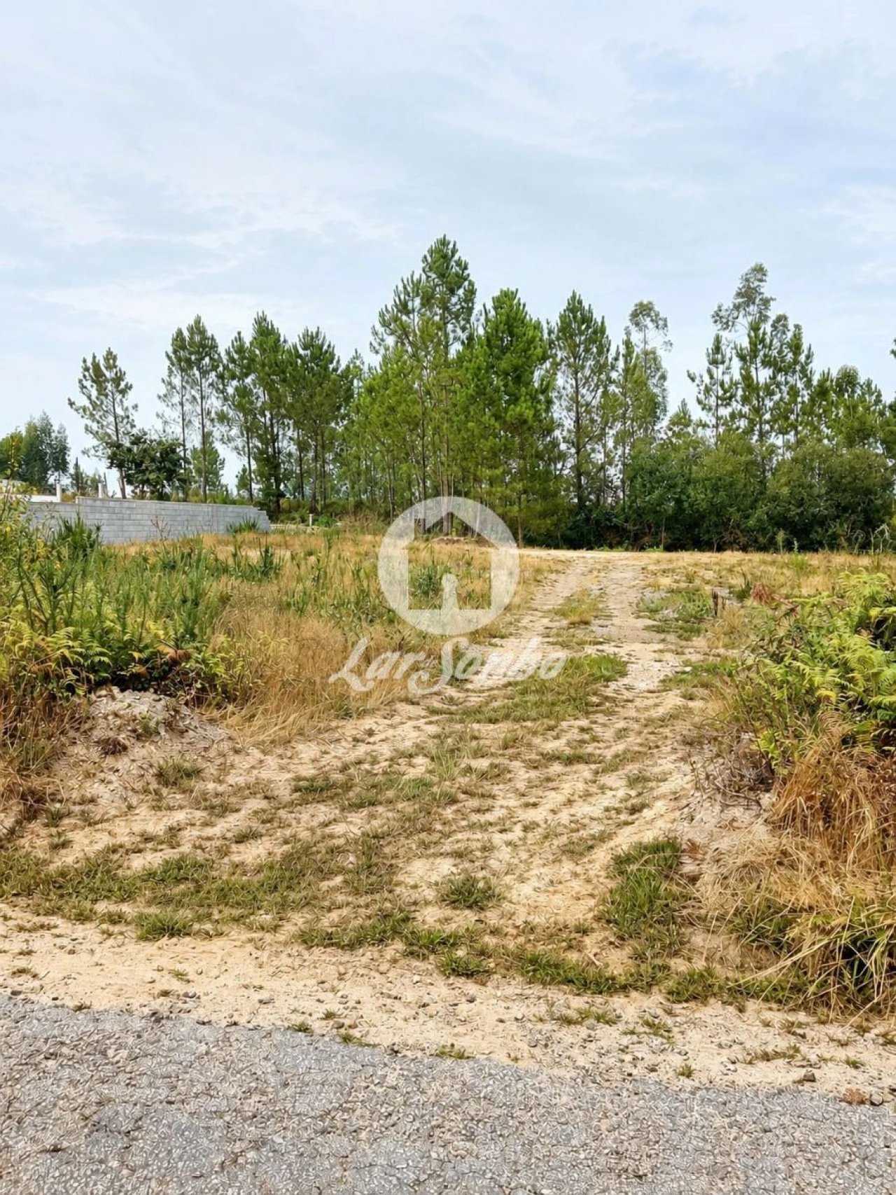 Terreno para Venda em Cervães Foto 13