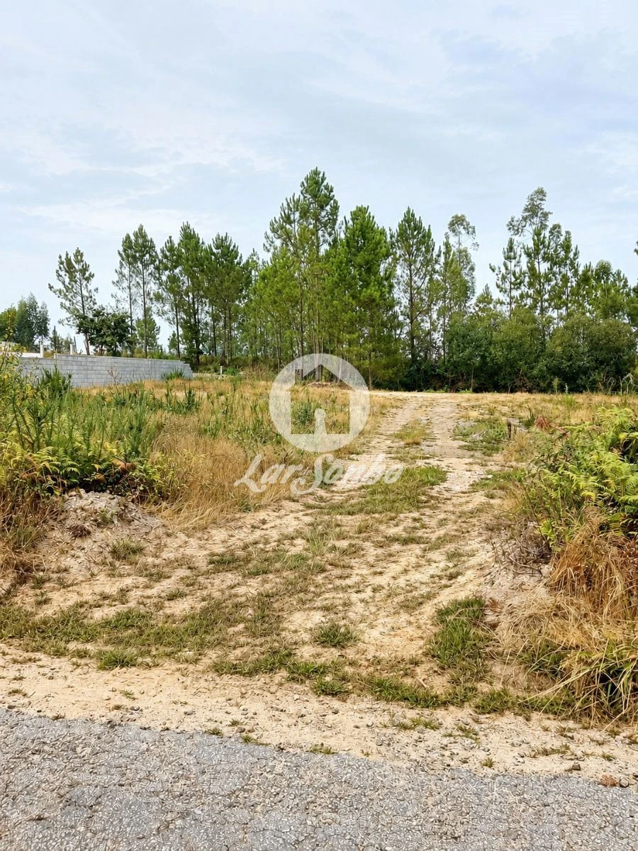 Terreno para Venda em Cervães Foto 13